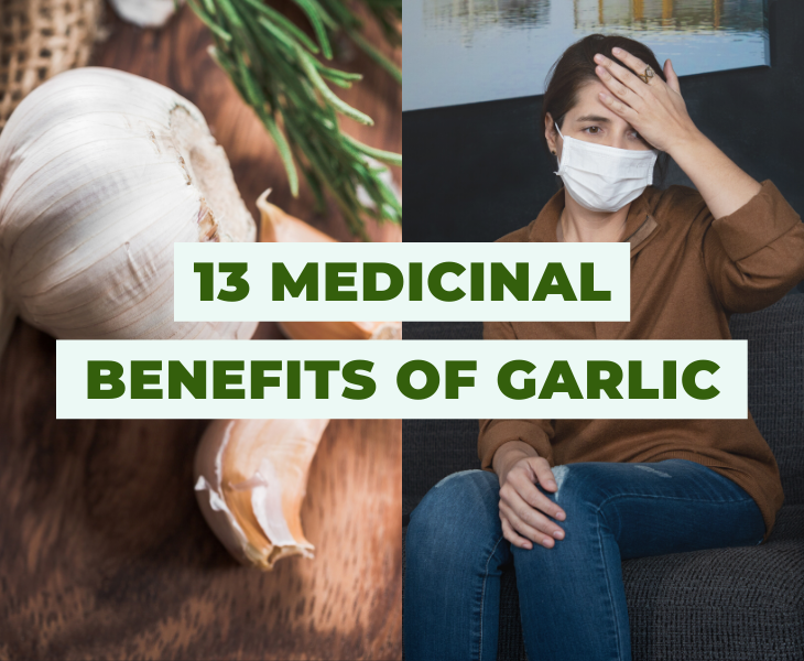 Medicinal Benefits of Garlic