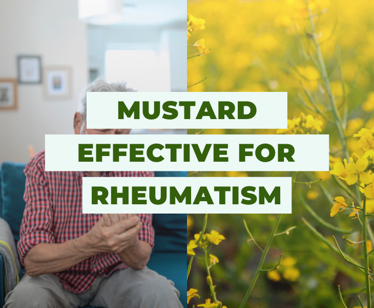 Mustard - Effective for Rheumatism - Blog Featured Image
