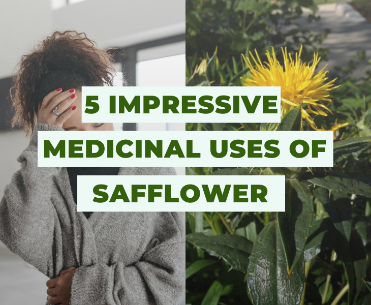 5 Impressive Medicinal Uses of Safflower