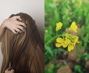 11 Amazing Health Benefits of Mustard