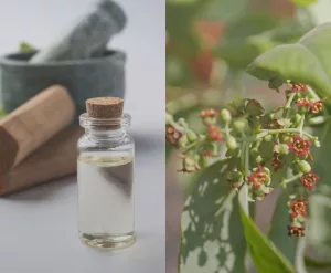 How to Treat Acne with Sandalwood