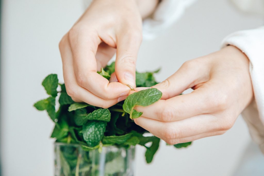 Amazing Benefit of Mint Leaves The PlantTube