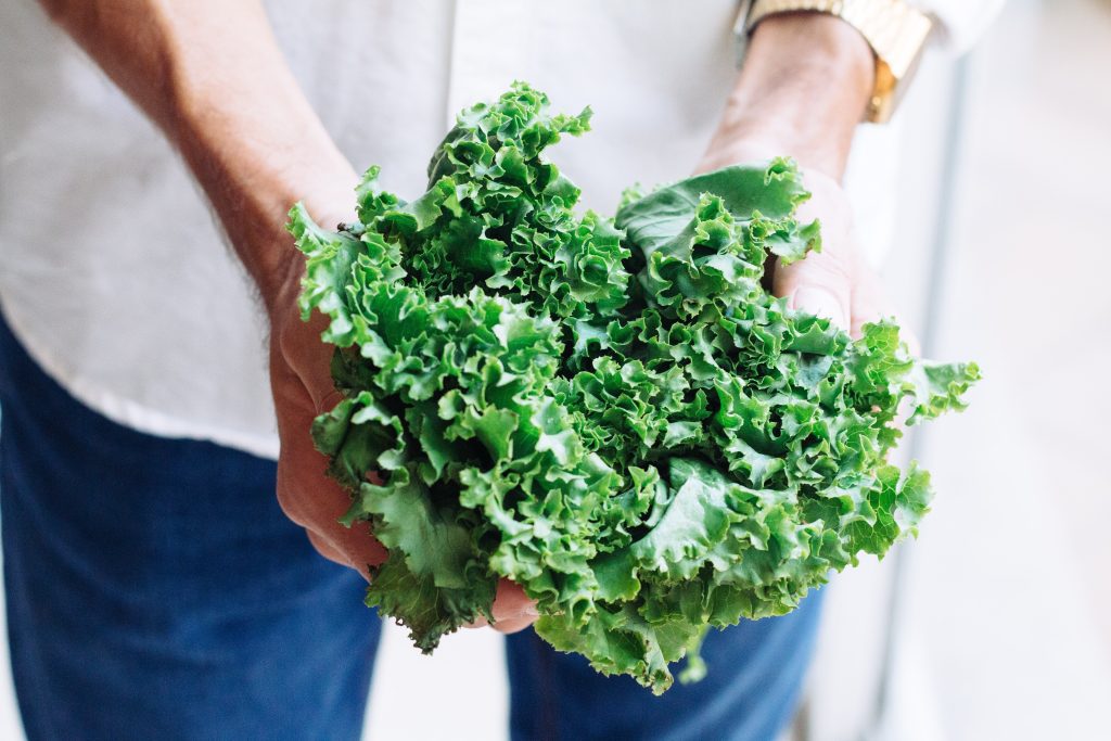 Kale Help Improve Your Eyesight The PlantTube