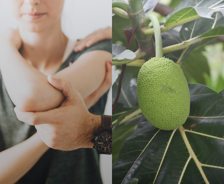 4 Amazing Ways to Use Breadfruit