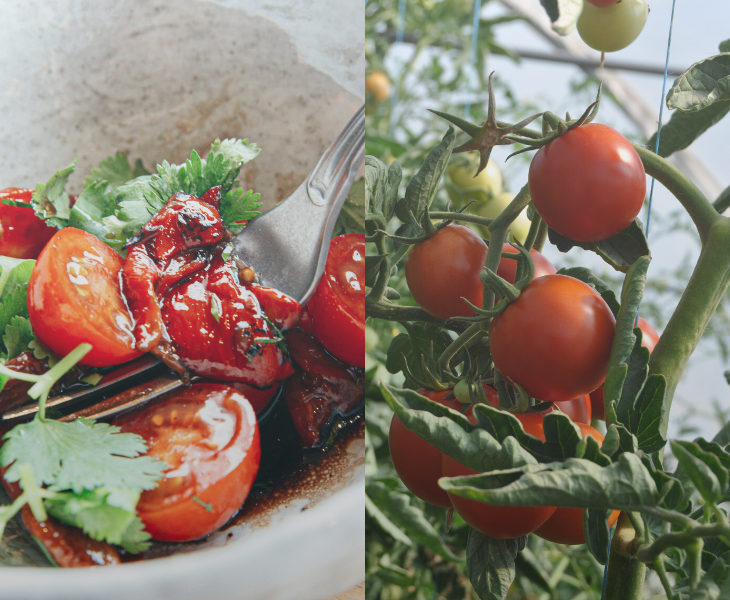 7 Things You Never Knew About Tomatoes