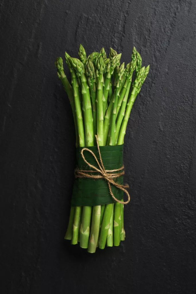 Asparagus The PlantTube