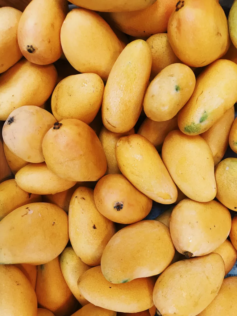 Health Benefits of Mango The PlantTube