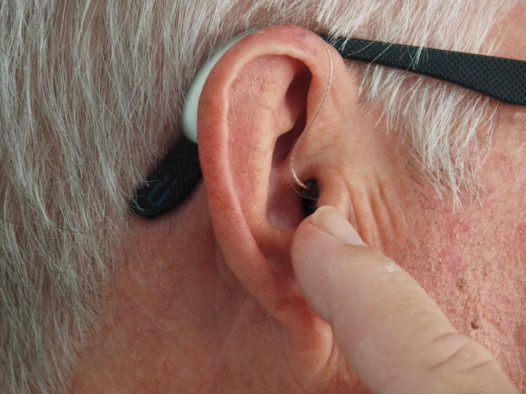 Medicinal Uses of Hyacinth Bean Relief ear The PlantTube