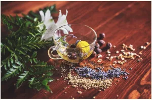 Benefits of Herbal Tea: These Amazing Herbal Tea Will Brighten Your Day