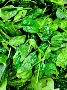 green leafed plant spinach, one of the high potassium foods