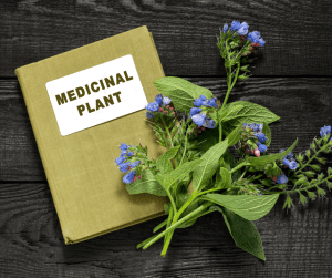 Prevent Cancer With These 5 Remarkable Medicinal Plant