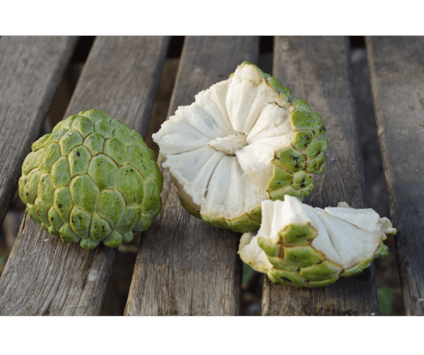 13 Common Signs And Symptoms Of Heart Disease The Planttube