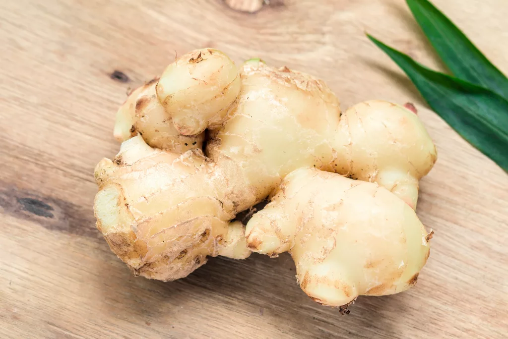 Herbs That Will Remove Mucus From the Lungs Ginger The PlantTube