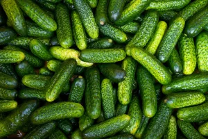 5 Health Benefits of Pickles That Might Surprise You