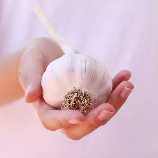 How to Best Use Garlic Oil For Hair Growth Stimulation?