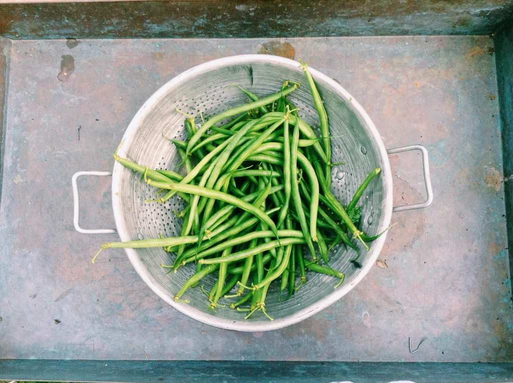 beans, green beans, string beans, benefits of green beans