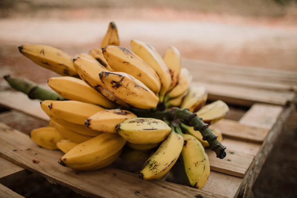 Benefit of Banana The PlantTube