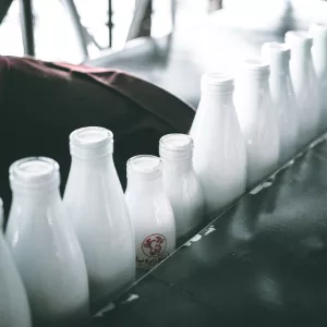 photo of milk bottle lot, dairy products - foods to avoid if you have bronchitis