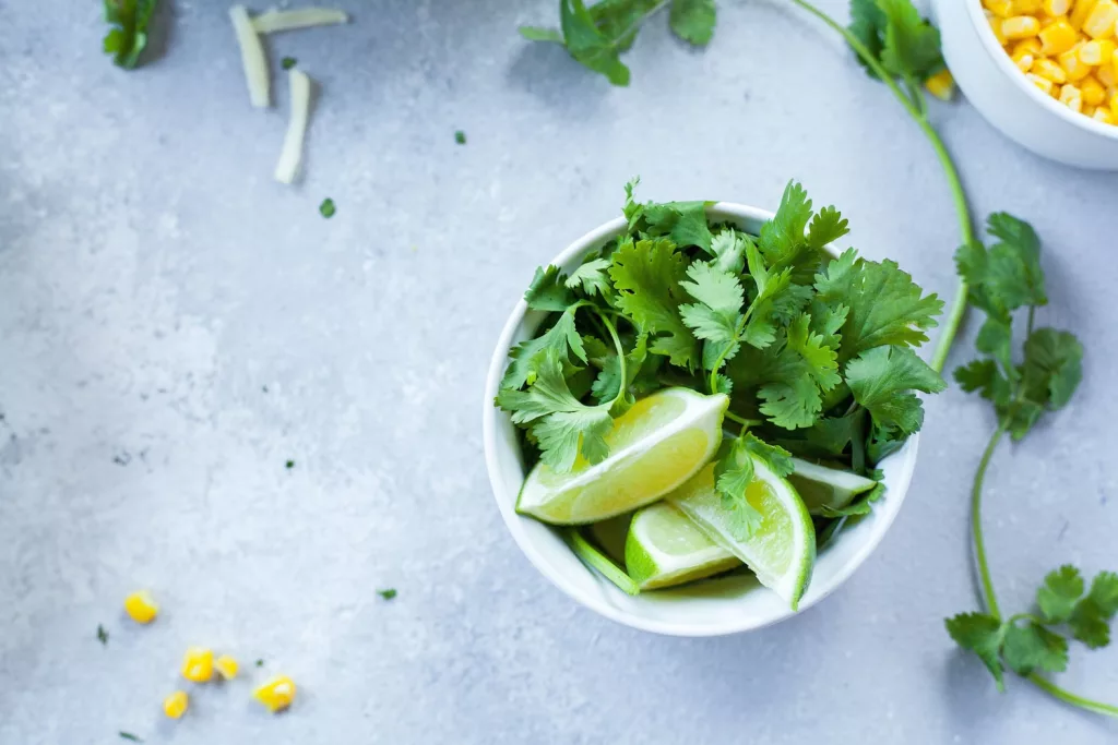 health benefits of cilantro, culinary uses of cilantro