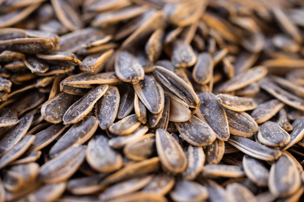a close up of a pile of sunflower seeds, ways to use sunflowers