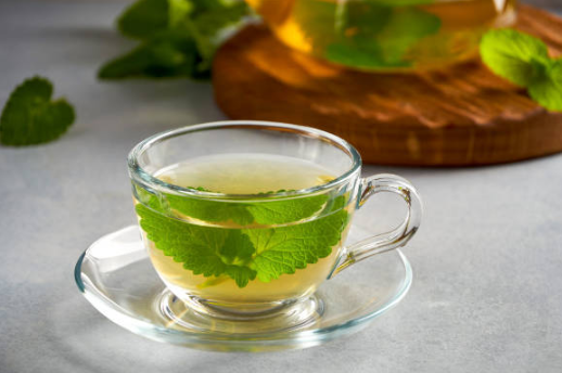 Benefits of Lemon Balm The PlantTube