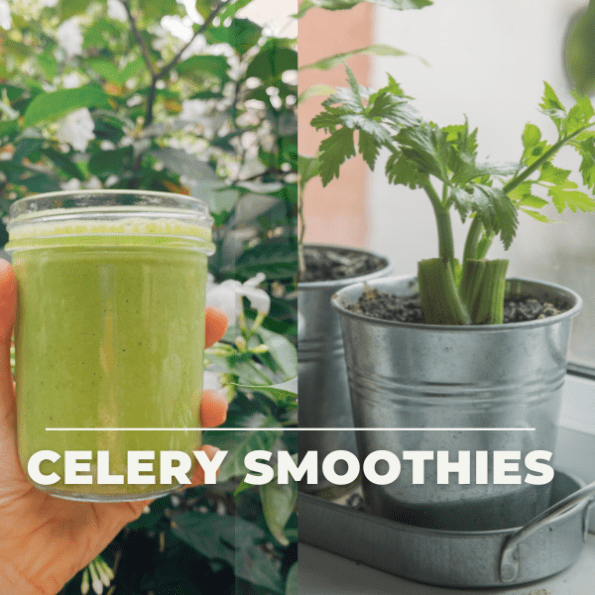 Celery Smoothies