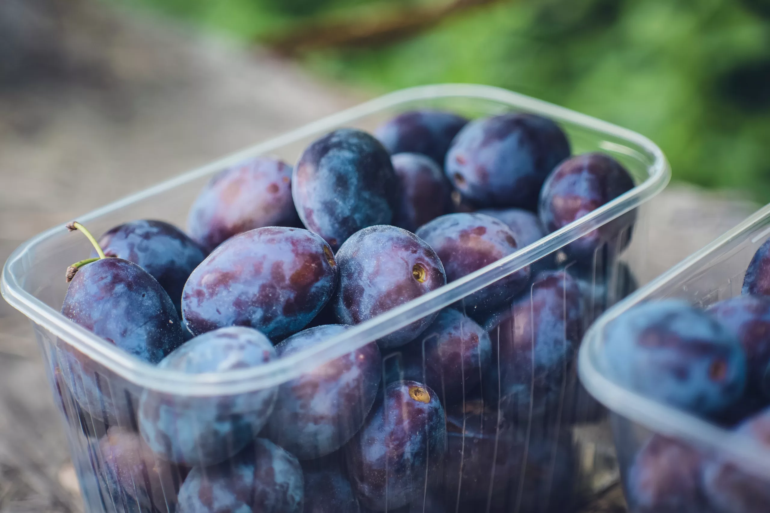 Health Benefits of Prunes
