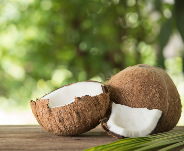 Coconut