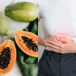 How Papaya Boosts Digestion The PlantTube