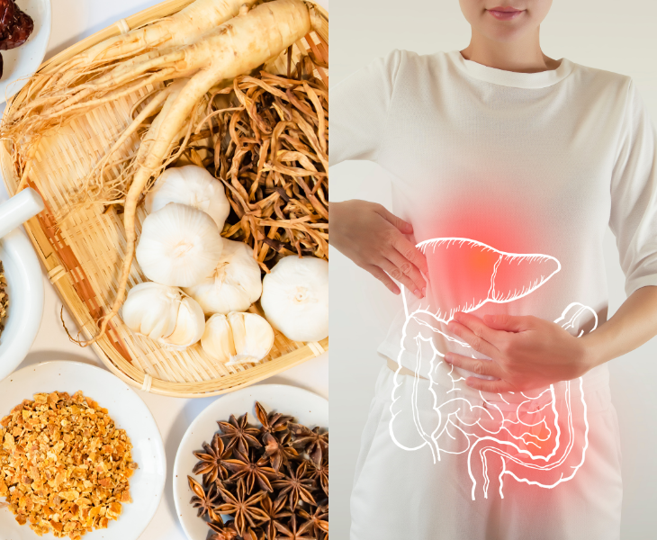 Medicinal Herbs for Digestive Health: Nature’s Solutions to Better Digestion