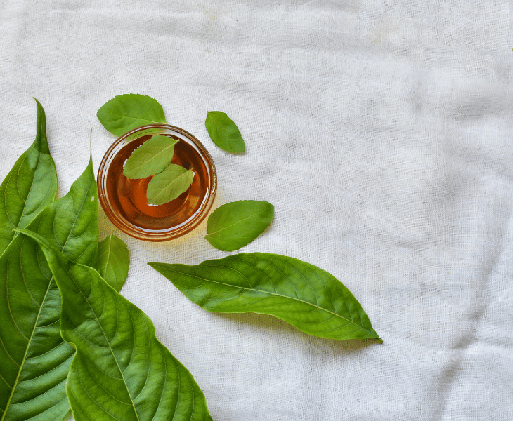 organic tulsi Tea