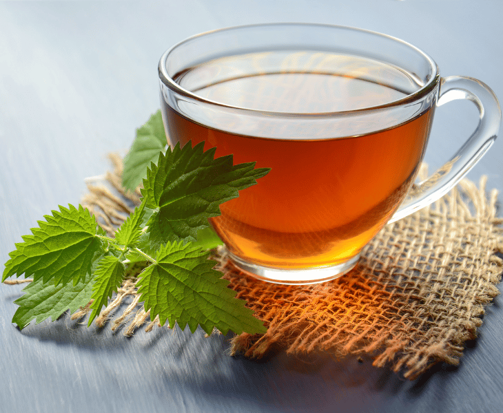 what is tulsi Tea good for