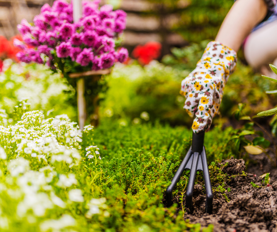 Benefits of Gardening