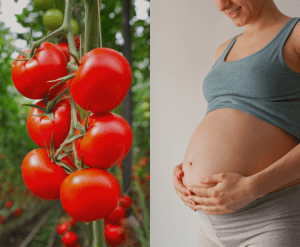 7 Powerful Benefits of Tomatoes During Pregnancy