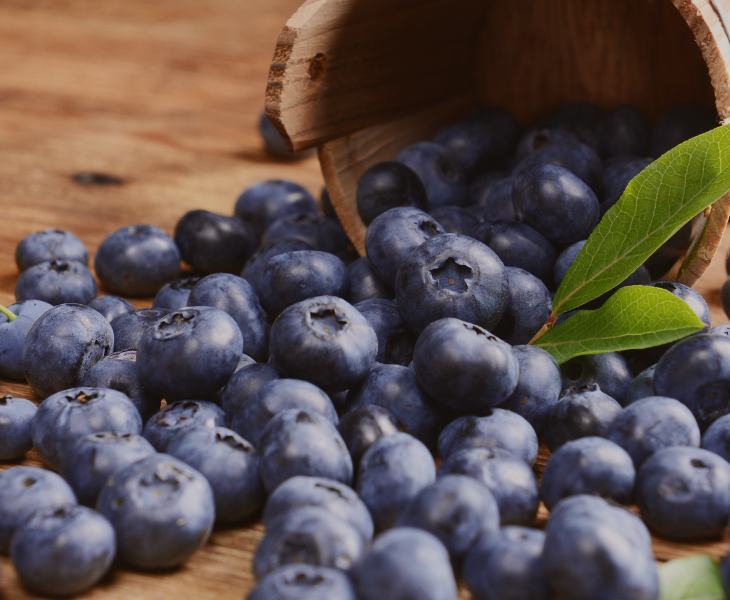 When Is Blueberry Season? A Complete Guide to Peak Harvest Time