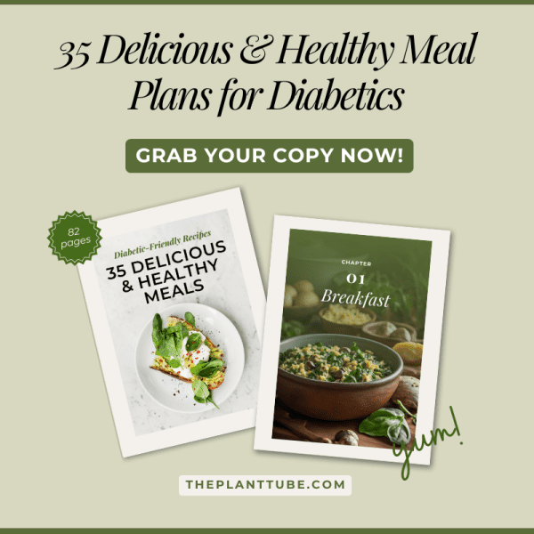 Vol 1 35 Diabetic-Friendly Recipes