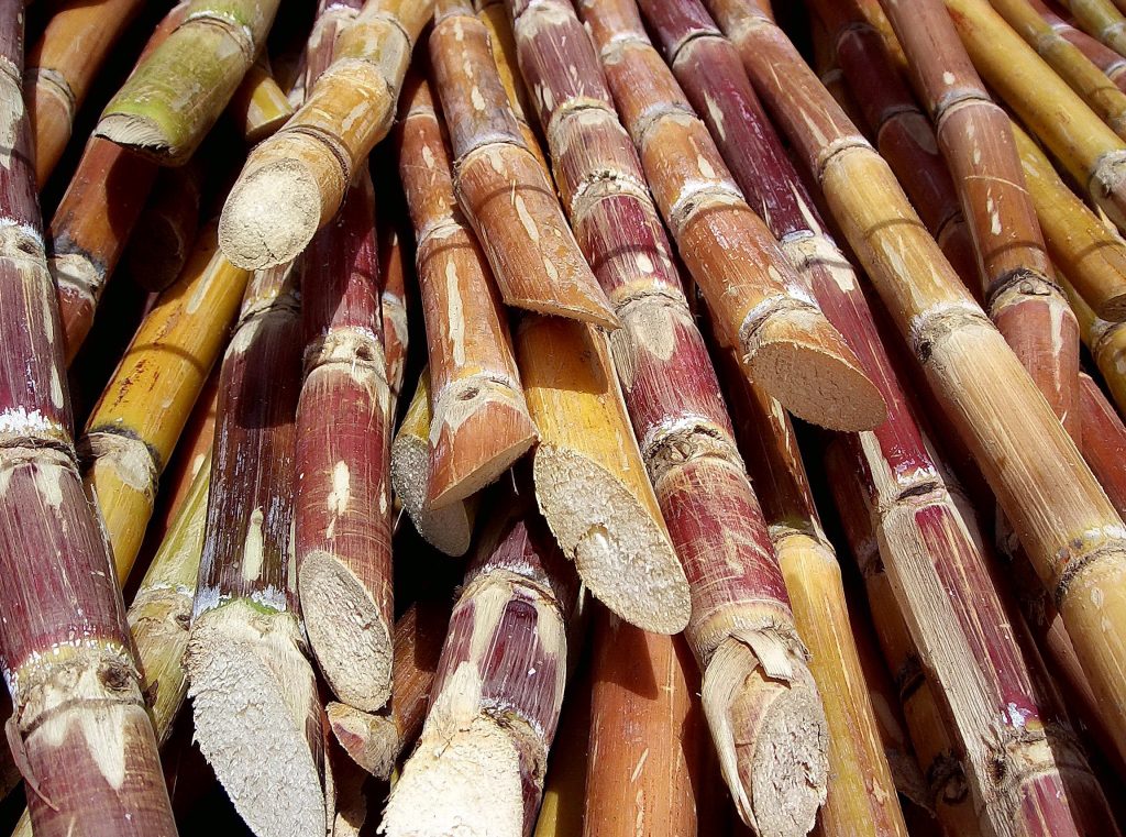 Does Sugarcane Cause Diabetes? The Truth You Need to Know 1 Does Sugarcane Cause Diabetes?