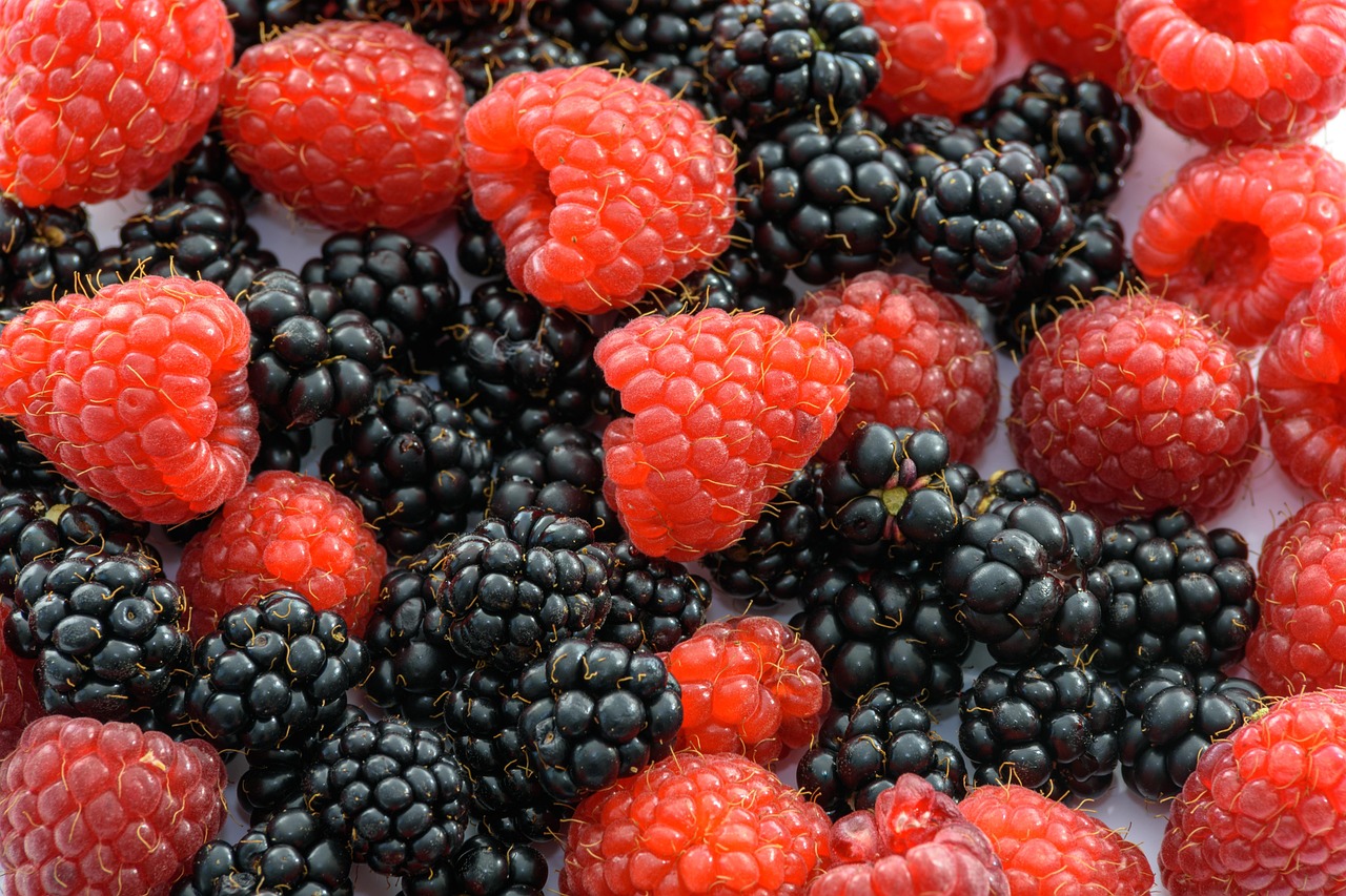 Black Raspberry Benefits + Easy Ways to Add Them to Your Diet 3 Black Raspberry vs Blackberry