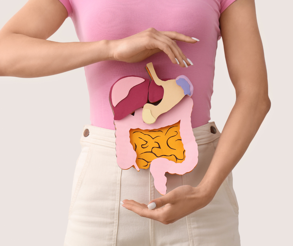 Century Plant Health Benefits: From Skin Care to Digestion Support 3 Digestive Support