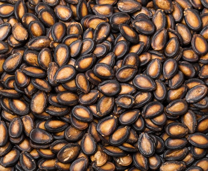 roasted watermelon seeds health benefits
