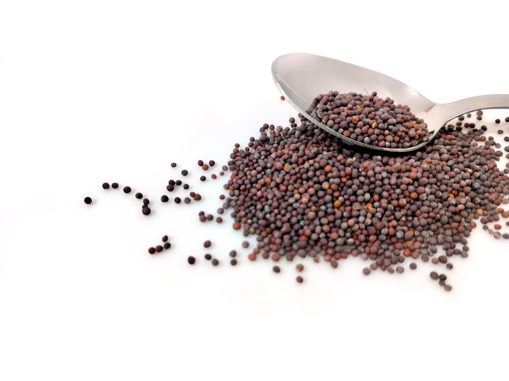 a pile of black seed next to a spoon | mustard seed