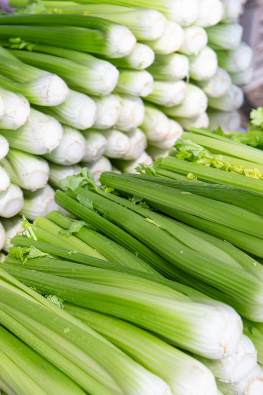 how to store celery