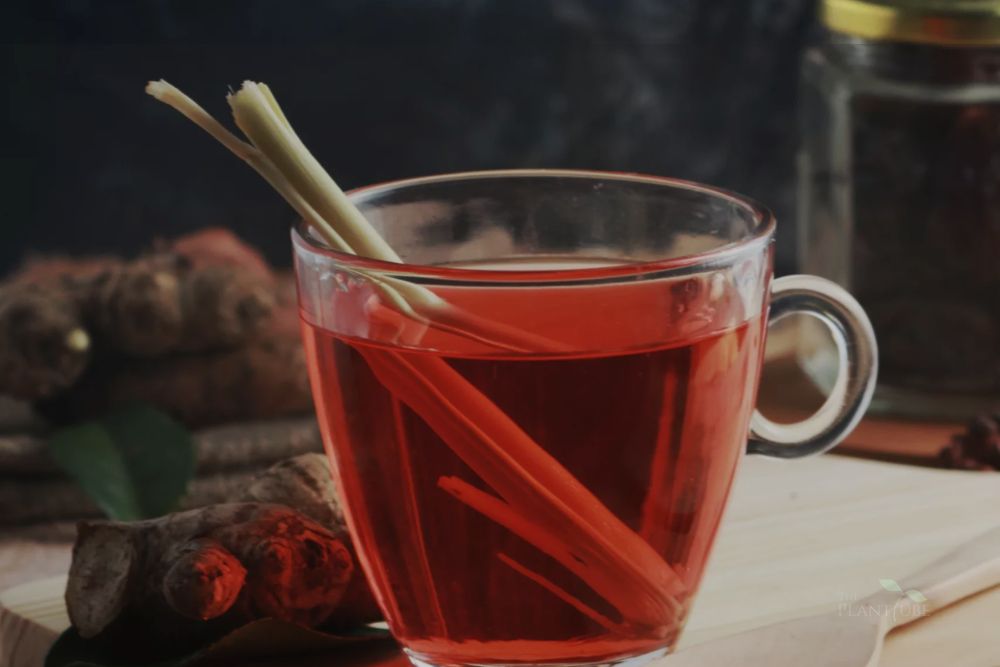 Health Benefits of Lemongrass Tea: Why This Herbal Drink Deserves a Spot in Your Wellness Routine