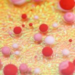 red and white blood cells
