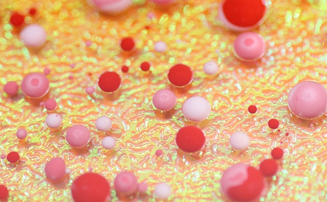 red and white blood cells