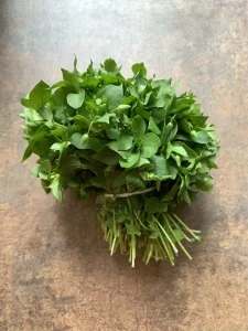Chickweed Medicinal Uses: 10 Science-Backed Benefits, How to Use It Safely